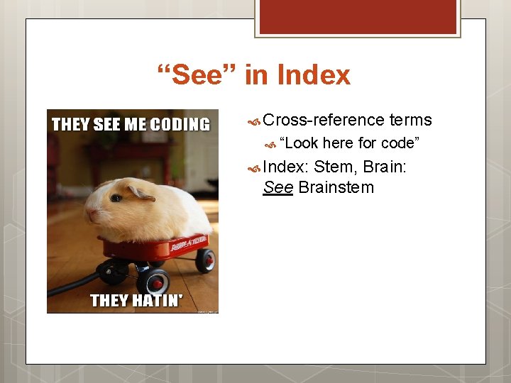 “See” in Index Cross-reference “Look Index: terms here for code” Stem, Brain: See Brainstem