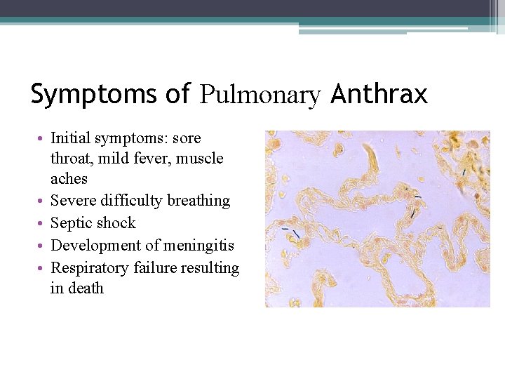 Symptoms of Pulmonary Anthrax • Initial symptoms: sore throat, mild fever, muscle aches • Symptoms of Pulmonary Anthrax • Initial symptoms: sore throat, mild fever, muscle aches •