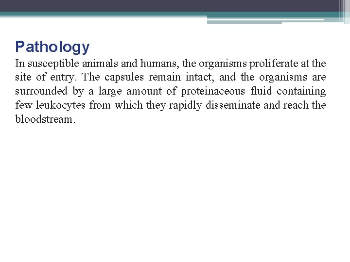 Pathology In susceptible animals and humans, the organisms proliferate at the site of entry.