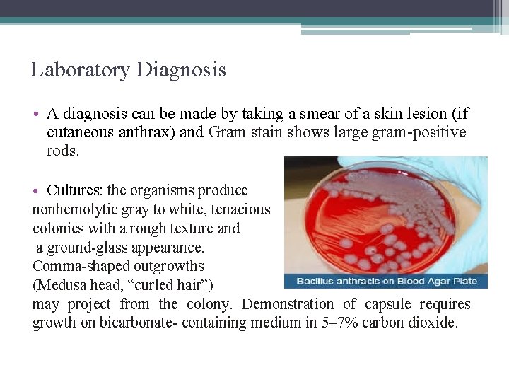 Laboratory Diagnosis • A diagnosis can be made by taking a smear of a