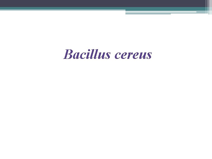 Bacillus cereus Bacillus cereus