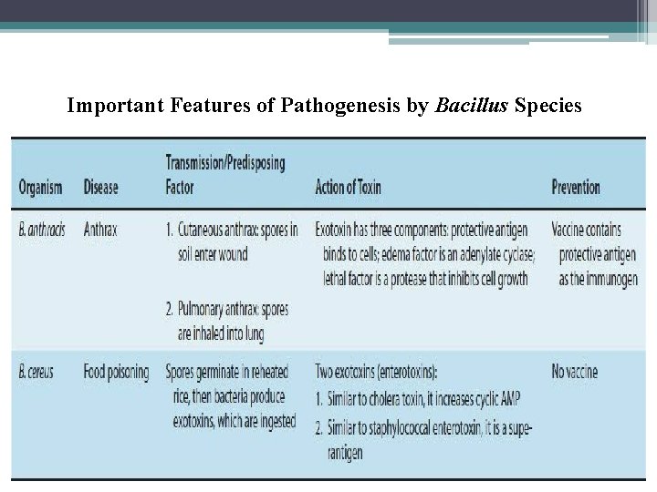 Important Features of Pathogenesis by Bacillus Species Important Features of Pathogenesis by Bacillus Species