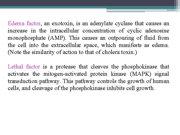 Edema factor, an exotoxin, is an adenylate cyclase that causes an increase in the