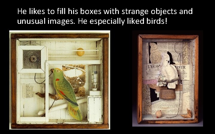 He likes to fill his boxes with strange objects and unusual images. He especially