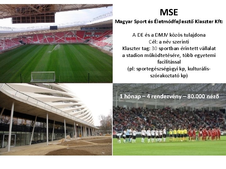 MSE Magyar Sport és Életmódfejlesztő Klaszter Kft: A DE és a DMJV közös tulajdona MSE Magyar Sport és Életmódfejlesztő Klaszter Kft: A DE és a DMJV közös tulajdona