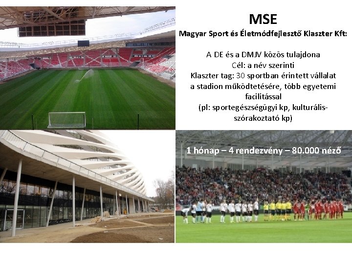 MSE Magyar Sport és Életmódfejlesztő Klaszter Kft: A DE és a DMJV közös tulajdona