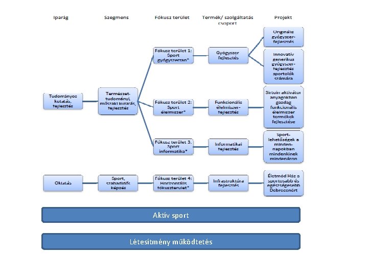 Aktív sport Létesítmény működtetés 