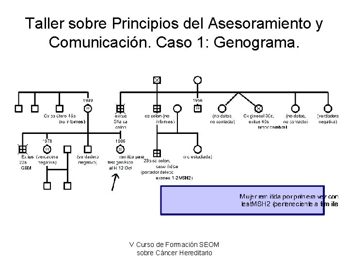 Taller sobre Principios del Asesoramiento y Comunicación. Caso 1: Genograma. V Curso de Formación