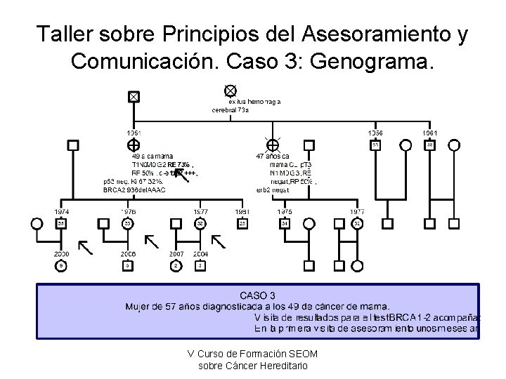 Taller sobre Principios del Asesoramiento y Comunicación. Caso 3: Genograma. V Curso de Formación