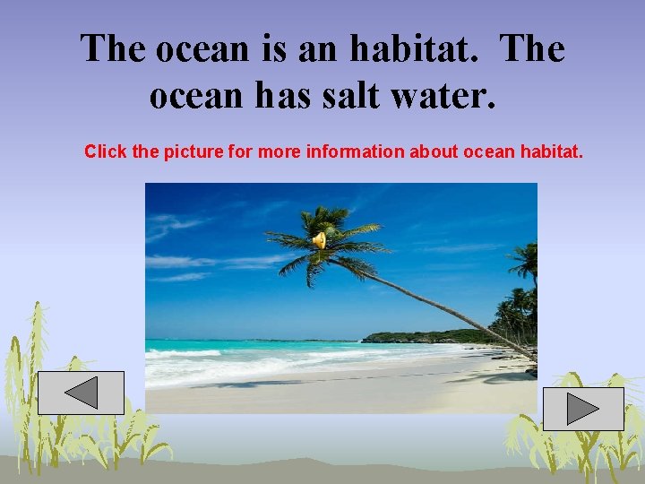 The ocean is an habitat. The ocean has salt water. Click the picture for