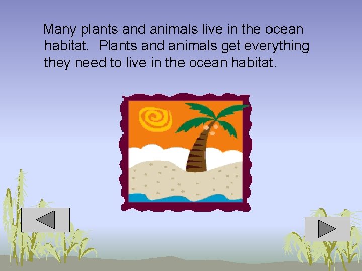 Many plants and animals live in the ocean habitat. Plants and animals get everything