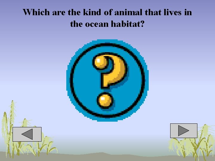 Which are the kind of animal that lives in the ocean habitat? 