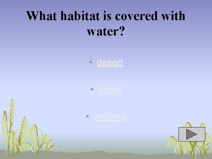 What habitat is covered with water? • desert • forest • wetland 
