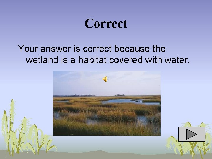 Correct Your answer is correct because the wetland is a habitat covered with water.