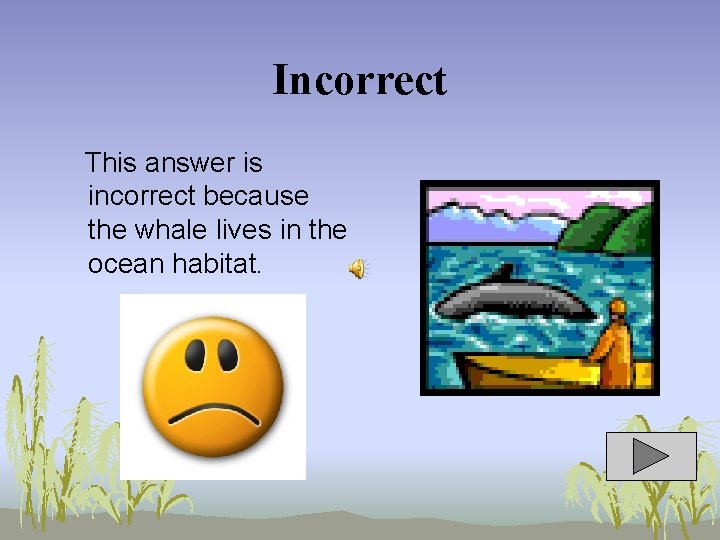 Incorrect This answer is incorrect because the whale lives in the ocean habitat. 