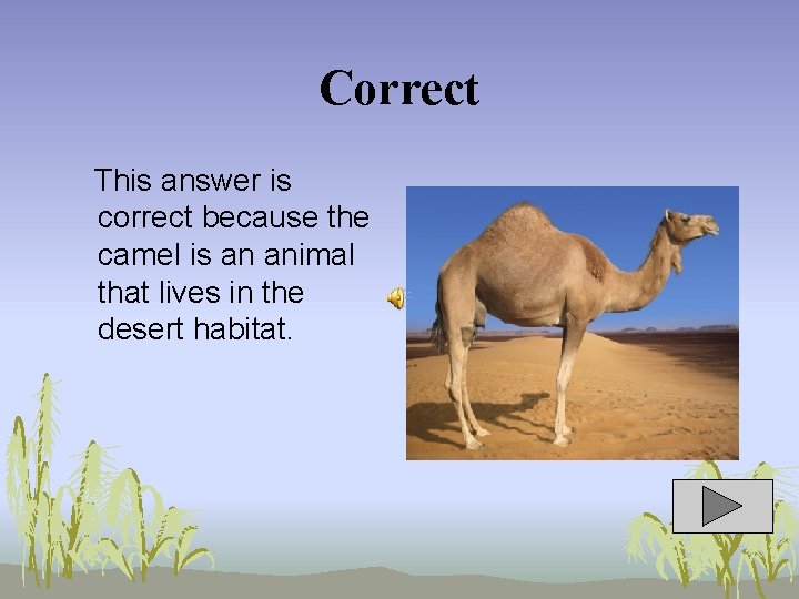 Correct This answer is correct because the camel is an animal that lives in