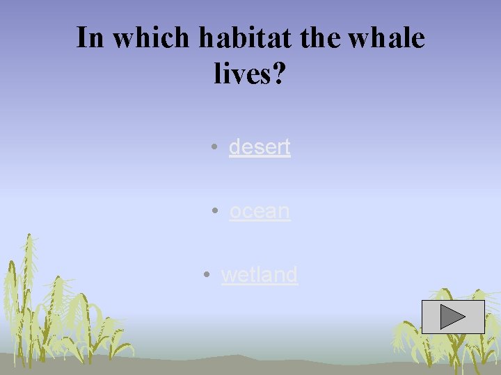In which habitat the whale lives? • desert • ocean • wetland 