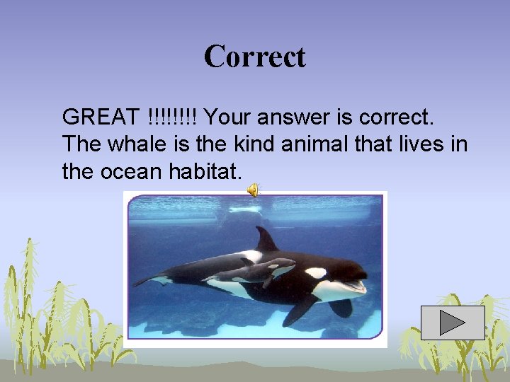 Correct GREAT !!!! Your answer is correct. The whale is the kind animal that