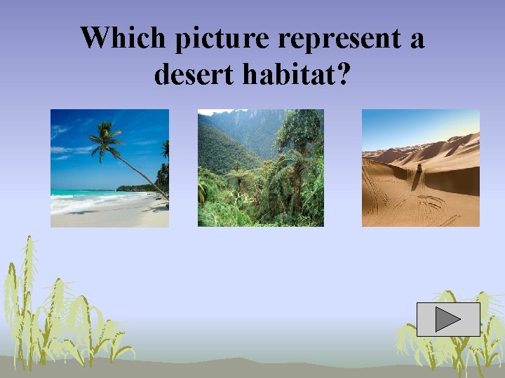 Which picture represent a desert habitat? 
