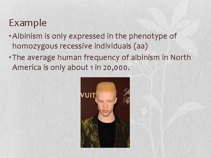 Example • Albinism is only expressed in the phenotype of homozygous recessive individuals (aa)