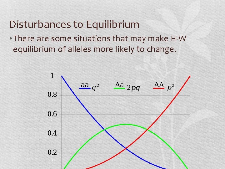 Disturbances to Equilibrium • There are some situations that may make H-W equilibrium of