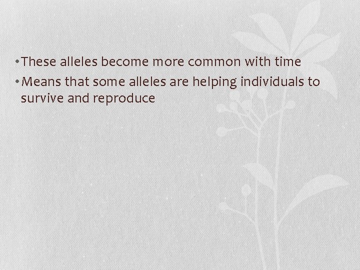  • These alleles become more common with time • Means that some alleles