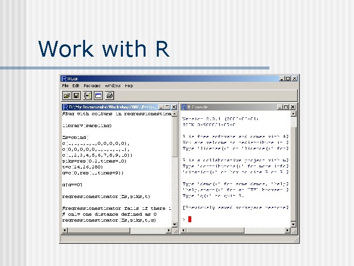 Work with R 
