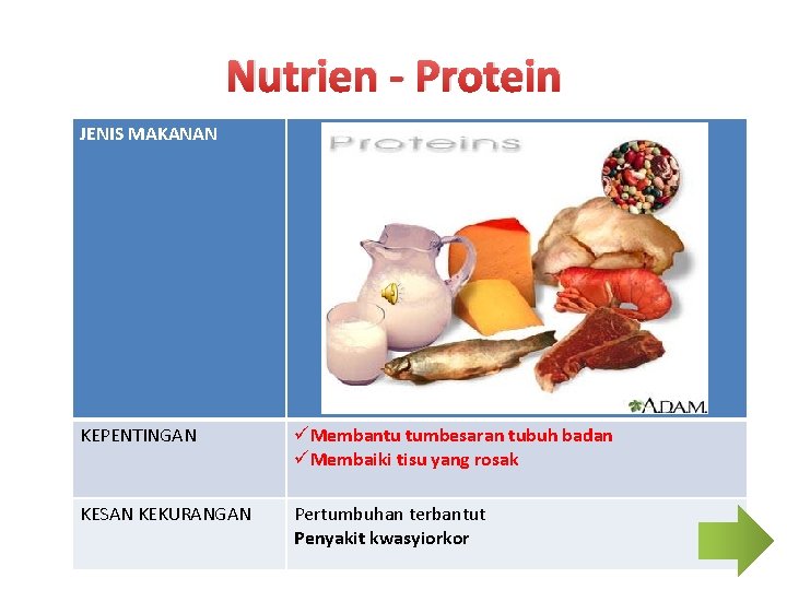 Nutrien - Protein JENIS MAKANAN KEPENTINGAN üMembantu tumbesaran tubuh badan üMembaiki tisu yang rosak