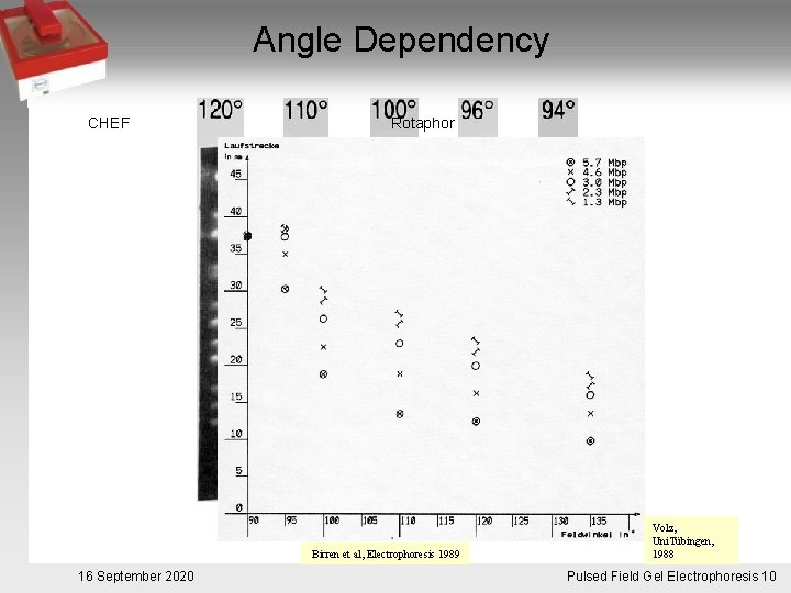Angle Dependency CHEF Rotaphor Birren et al, Electrophoresis 1989 16 September 2020 Volz, Uni.