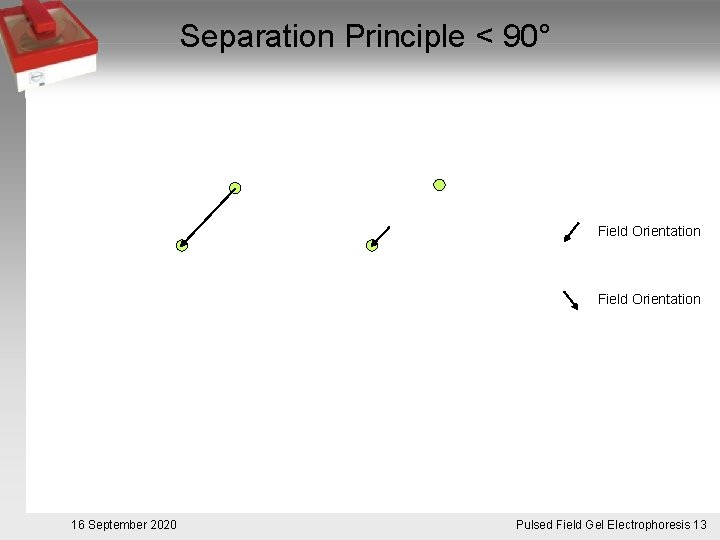 Separation Principle < 90° Field Orientation 16 September 2020 Pulsed. Pulsfeldgelelektrophorese. 13 Field Gel