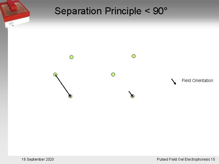 Separation Principle < 90° Field Orientation 16 September 2020 Pulsed. Pulsfeldgelelektrophorese. 15 Field Gel
