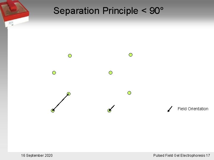 Separation Principle < 90° Field Orientation 16 September 2020 Pulsed. Pulsfeldgelelektrophorese. 17 Field Gel