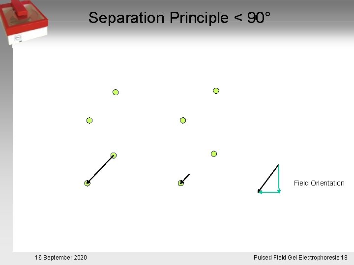 Separation Principle < 90° Field Orientation 16 September 2020 Pulsed. Pulsfeldgelelektrophorese. 18 Field Gel