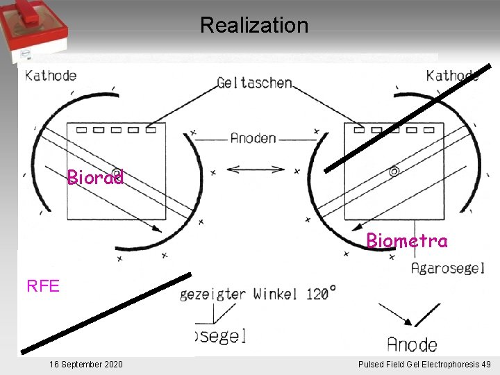 Realization TAFE Biorad Biometra RFE RGE 16 September 2020 CHEF Pulsed. Pulsfeldgelelektrophorese. 49 Field