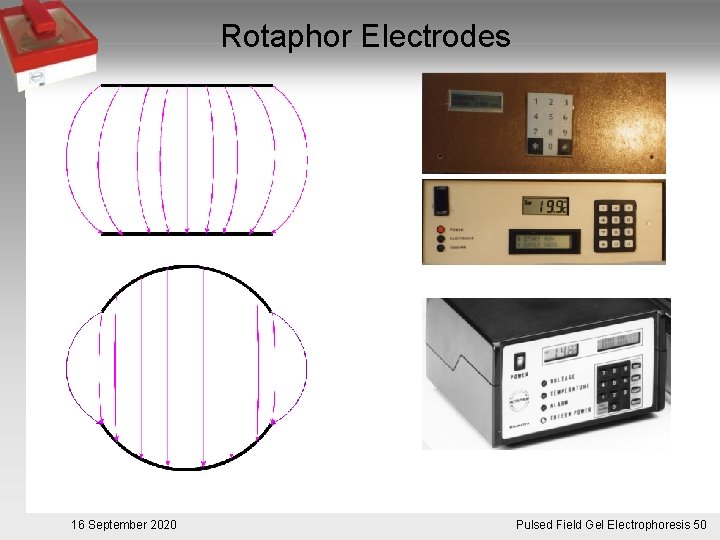 Rotaphor Electrodes 16 September 2020 Pulsed. Pulsfeldgelelektrophorese. 50 Field Gel Electrophoresis 50 