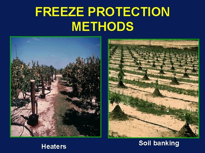 FREEZE PROTECTION METHODS Heaters Soil banking 