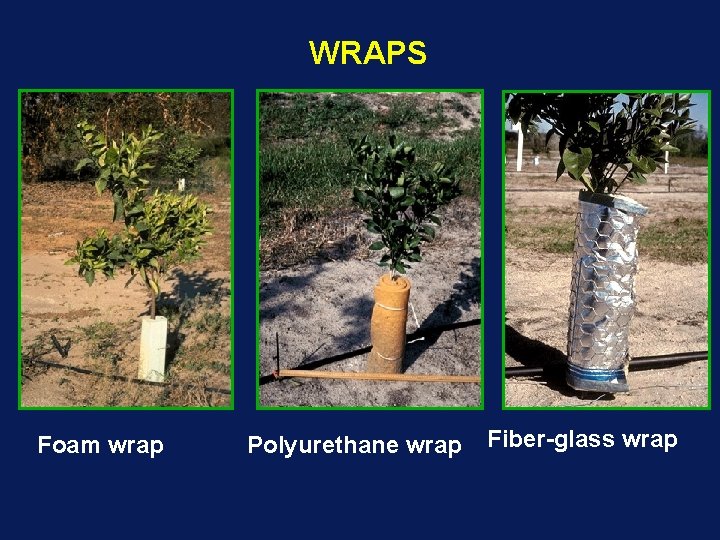 WRAPS Foam wrap Polyurethane wrap Fiber-glass wrap 