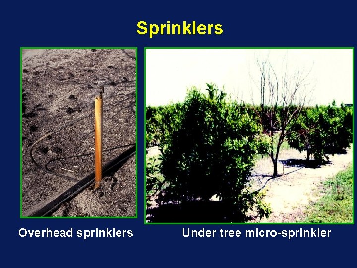Sprinklers Overhead sprinklers Under tree micro-sprinkler 