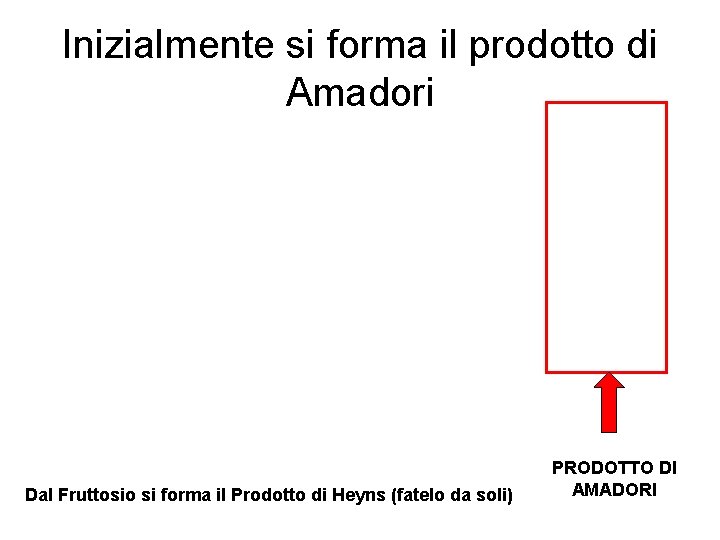 Inizialmente si forma il prodotto di Amadori Dal Fruttosio si forma il Prodotto di