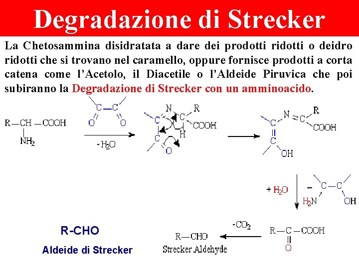 Degradazione di Strecker La Chetosammina disidratata a dare dei prodotti ridotti o deidro ridotti