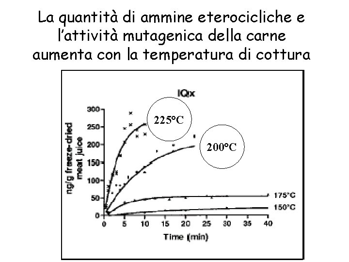 La quantità di ammine eterocicliche e l’attività mutagenica della carne aumenta con la temperatura