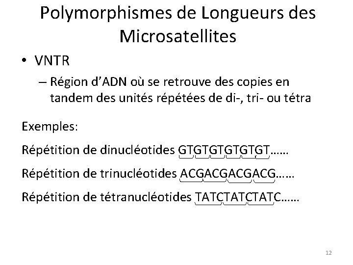 Polymorphismes de Longueurs des Microsatellites • VNTR – Région d’ADN où se retrouve des