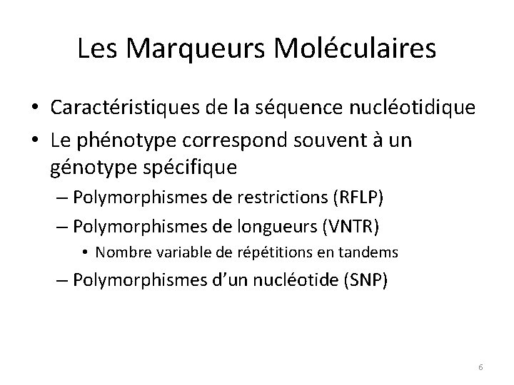 Les Marqueurs Moléculaires • Caractéristiques de la séquence nucléotidique • Le phénotype correspond souvent