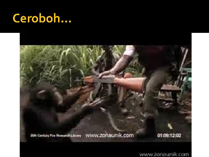 Ceroboh… 