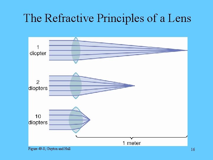 The Refractive Principles of a Lens Figure 49 -8; Guyton and Hall 16 