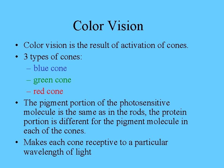 Color Vision • Color vision is the result of activation of cones. • 3
