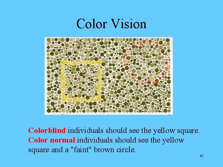 Color Vision Colorblind individuals should see the yellow square. Color normal individuals should see