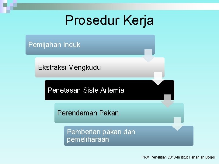 Prosedur Kerja Pemijahan Induk Ekstraksi Mengkudu Penetasan Siste Artemia Perendaman Pakan Pemberian pakan dan