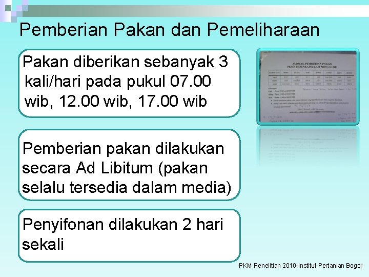 Pemberian Pakan dan Pemeliharaan Pakan diberikan sebanyak 3 kali/hari pada pukul 07. 00 wib,