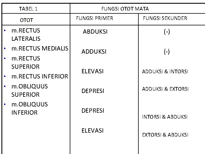 TABEL 1 OTOT FUNGSI OTOT MATA FUNGSI PRIMER FUNGSI SEKUNDER • m. RECTUS ABDUKSI